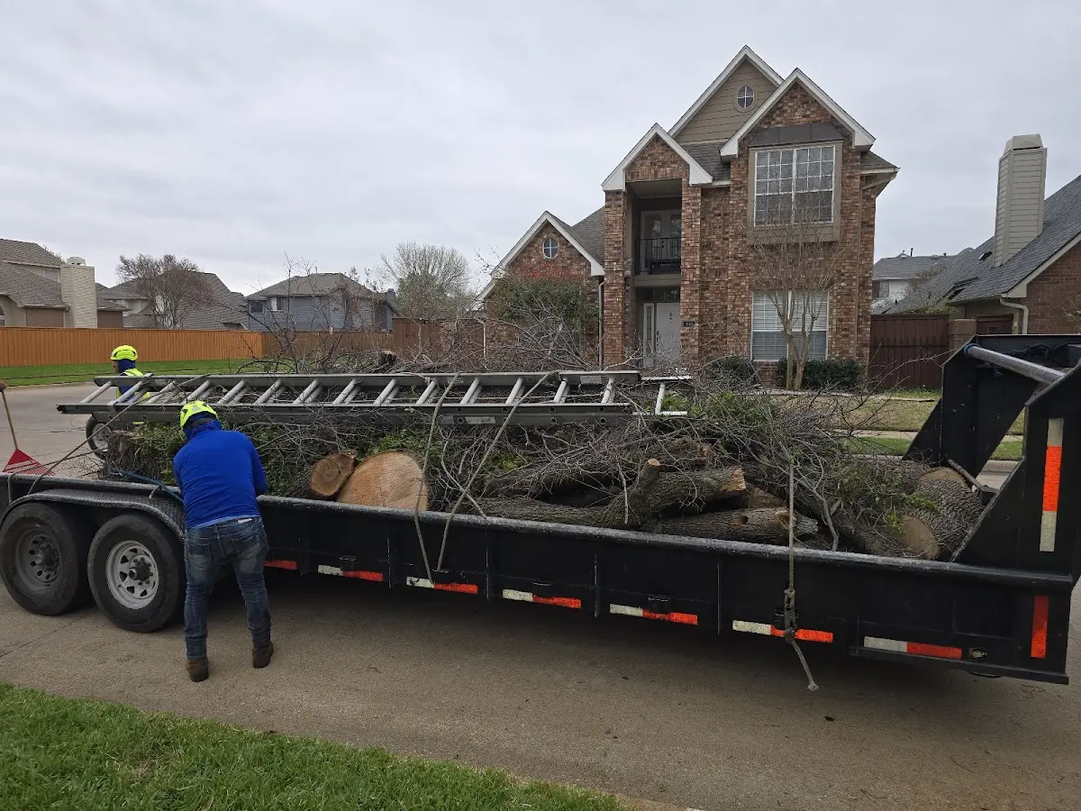 Expert Tree Removal with proper safety equipment in Underwood